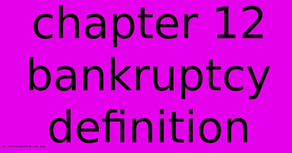 Chapter 12 Bankruptcy Definition