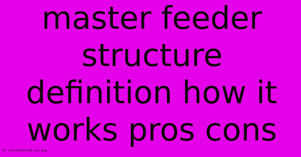 Master Feeder Structure Definition How It Works Pros Cons