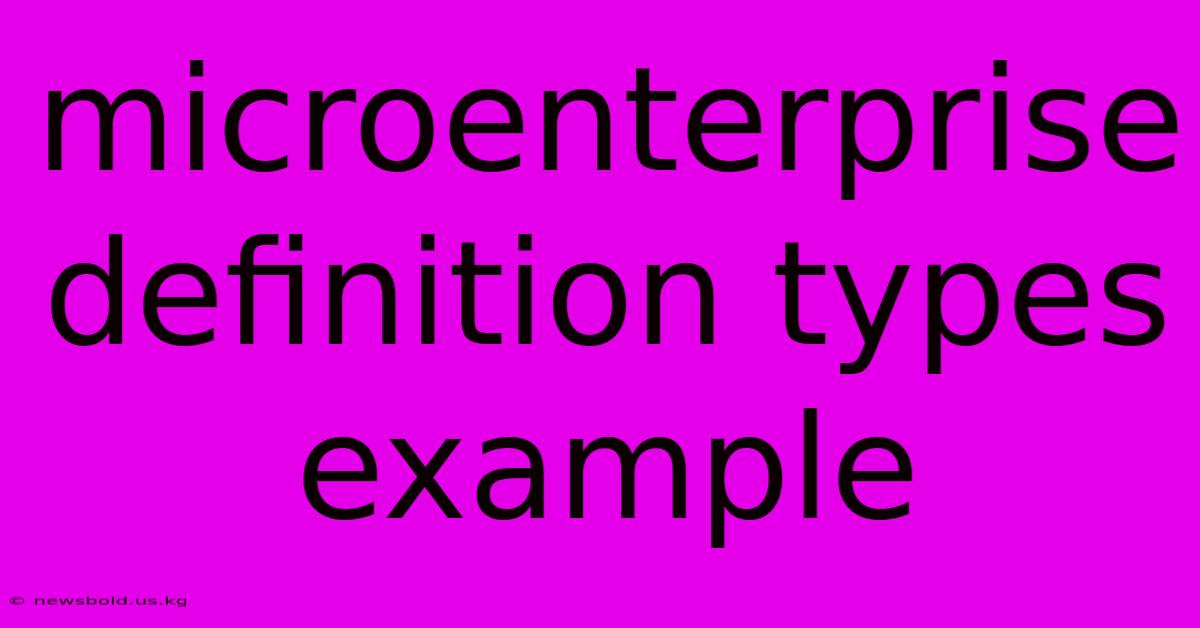 Microenterprise Definition Types Example