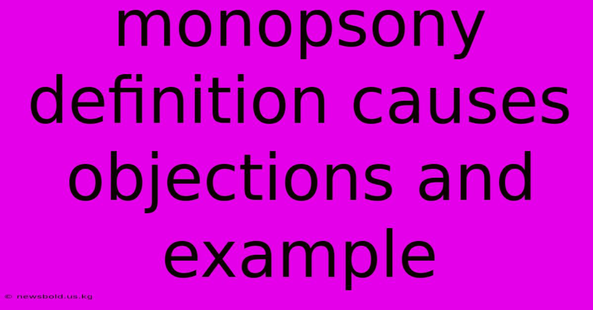 Monopsony Definition Causes Objections And Example