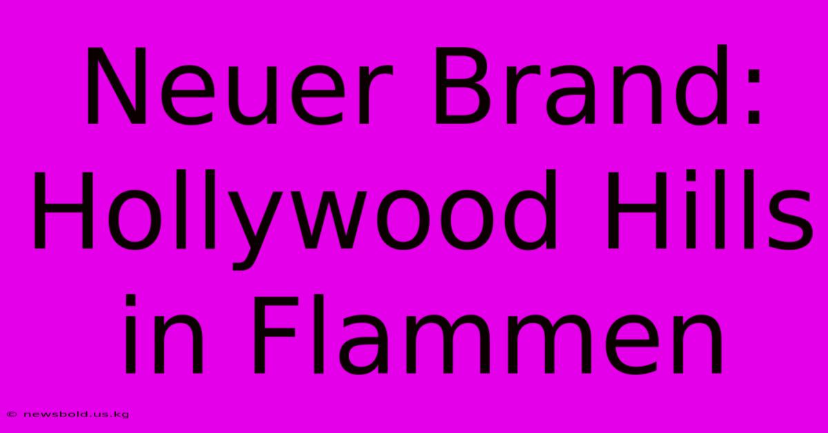 Neuer Brand: Hollywood Hills In Flammen