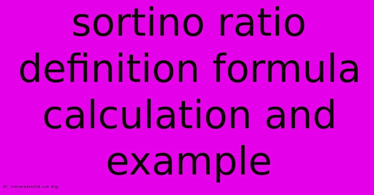 Sortino Ratio Definition Formula Calculation And Example