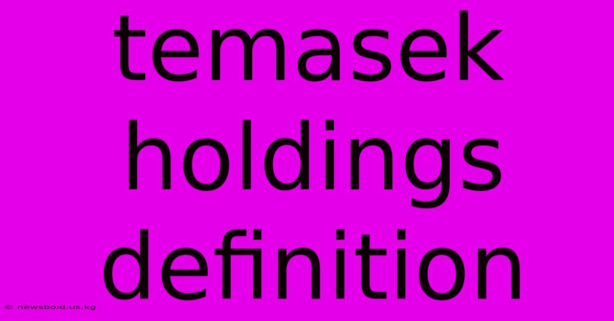 Temasek Holdings Definition