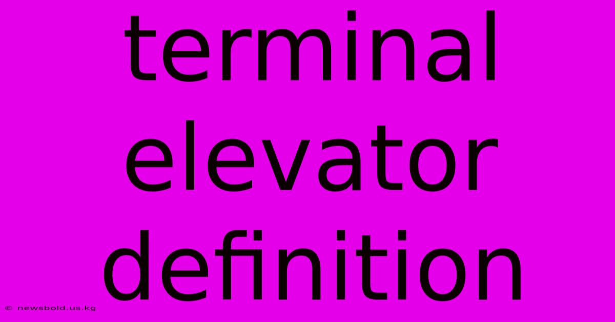 Terminal Elevator Definition