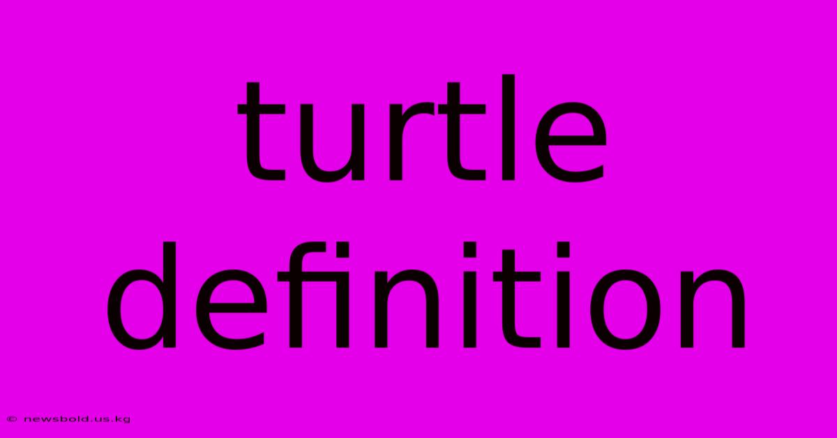 Turtle Definition