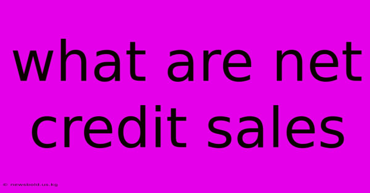 What Are Net Credit Sales