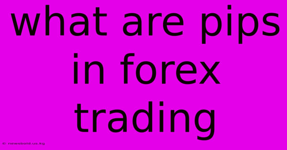 What Are Pips In Forex Trading