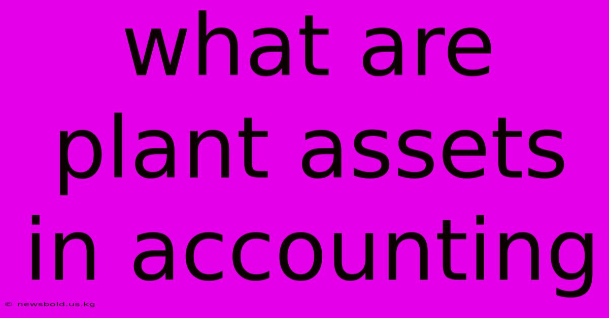 What Are Plant Assets In Accounting