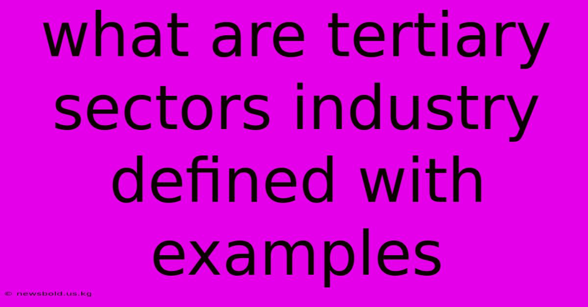 What Are Tertiary Sectors Industry Defined With Examples