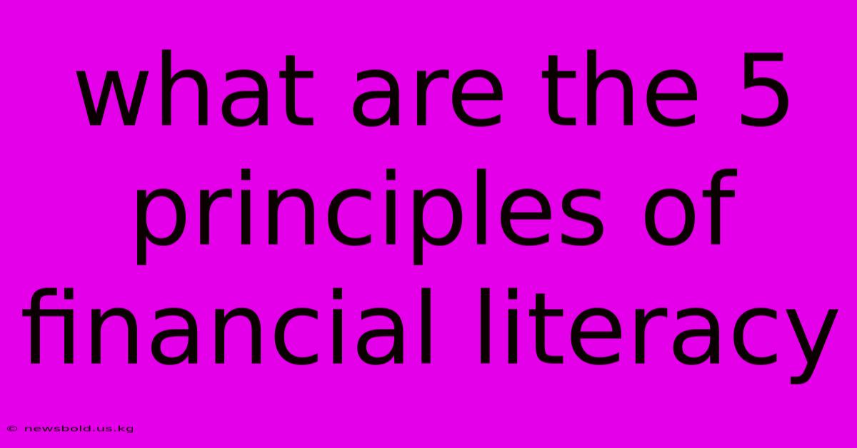 What Are The 5 Principles Of Financial Literacy