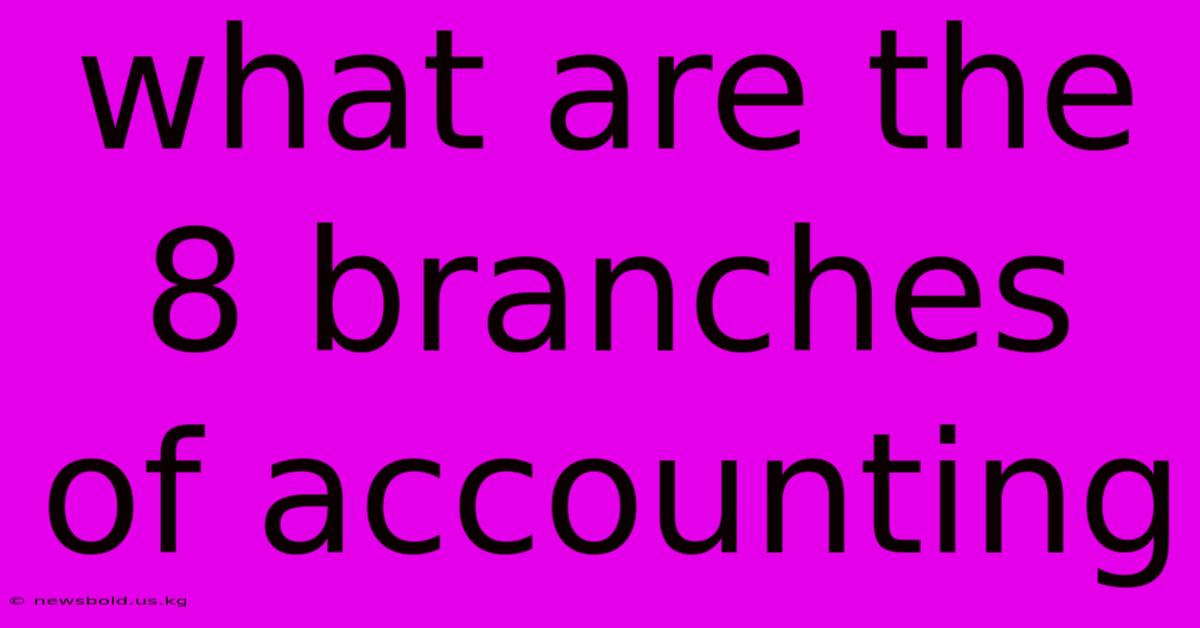 What Are The 8 Branches Of Accounting