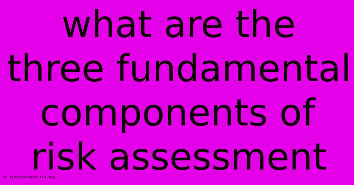 What Are The Three Fundamental Components Of Risk Assessment