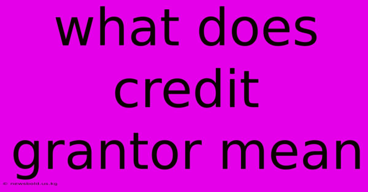 What Does Credit Grantor Mean