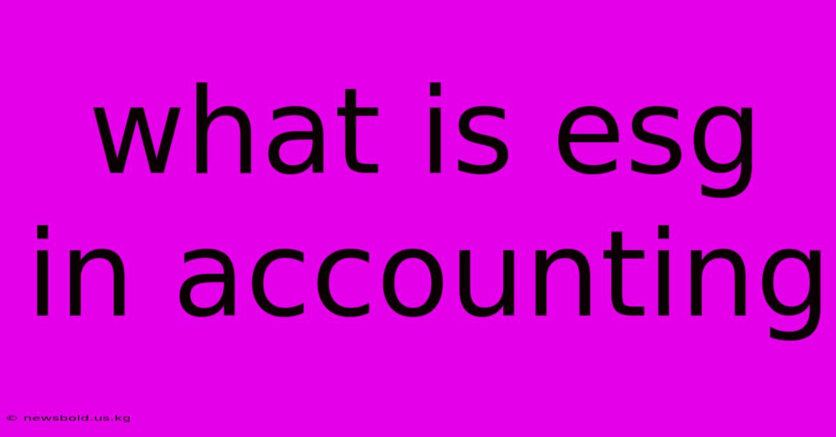 What Is Esg In Accounting