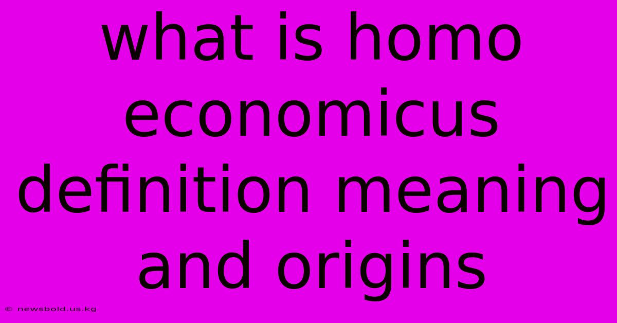 What Is Homo Economicus Definition Meaning And Origins