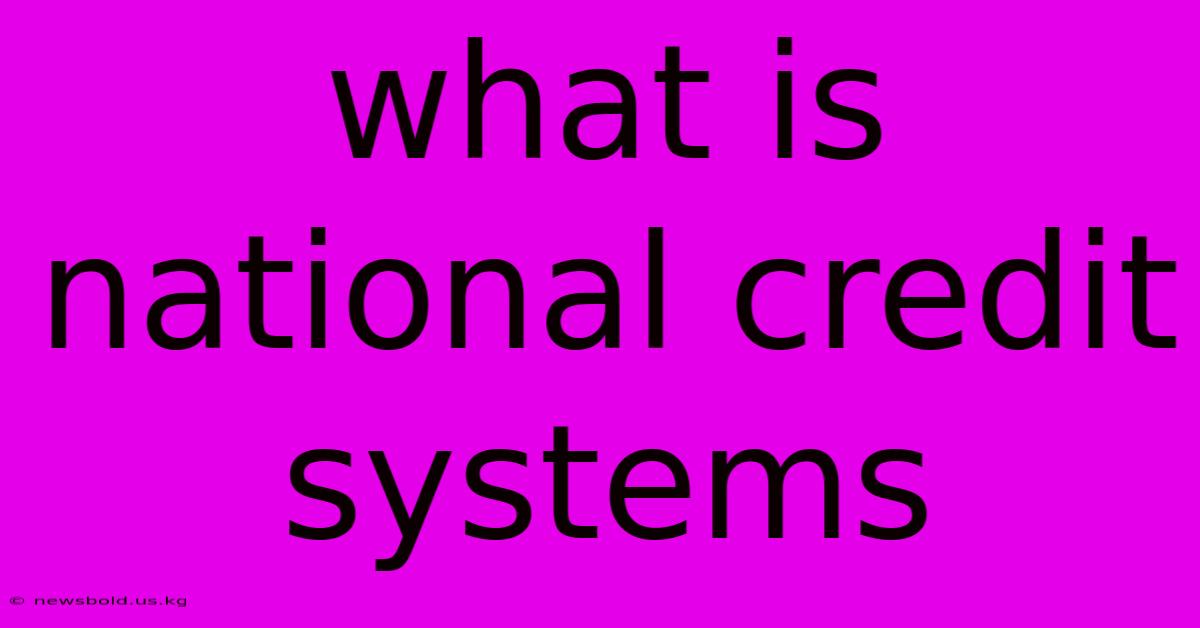 What Is National Credit Systems