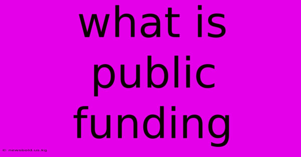 What Is Public Funding