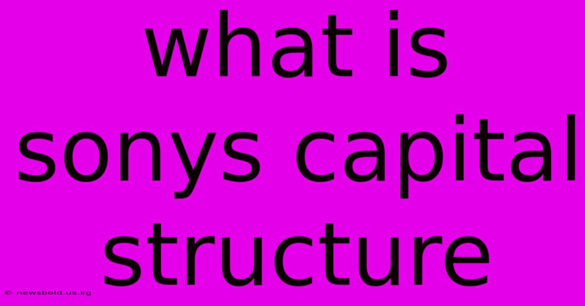 What Is Sonys Capital Structure