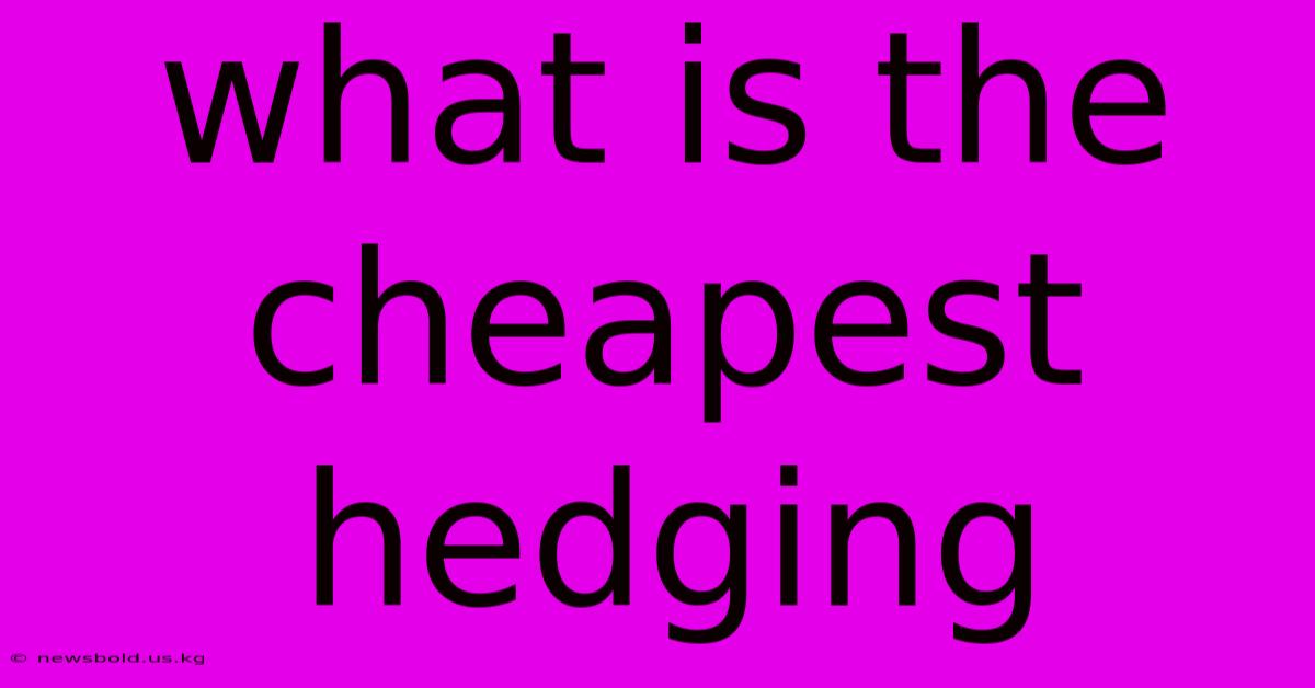 What Is The Cheapest Hedging