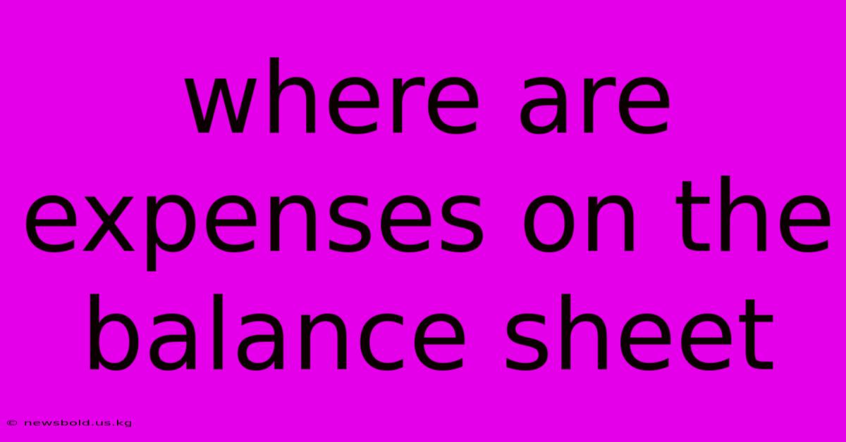 Where Are Expenses On The Balance Sheet