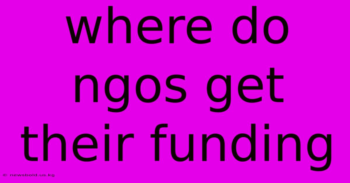 Where Do Ngos Get Their Funding