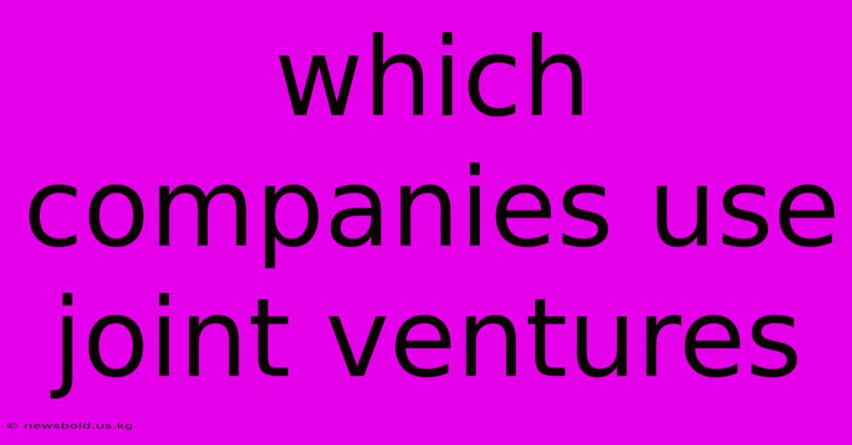 Which Companies Use Joint Ventures